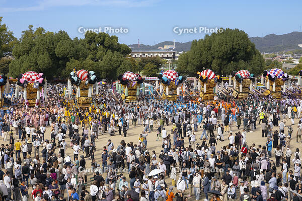 新居浜太鼓祭り　上部地区山根グラウンド統一寄せ [OKE110021762]