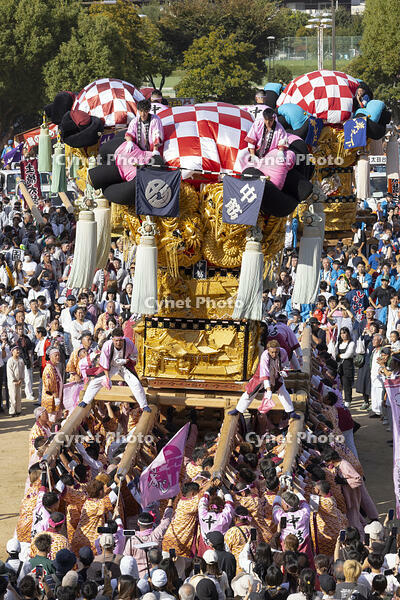 新居浜太鼓祭り　上部地区山根グラウンド統一寄せ [OKE110021768]