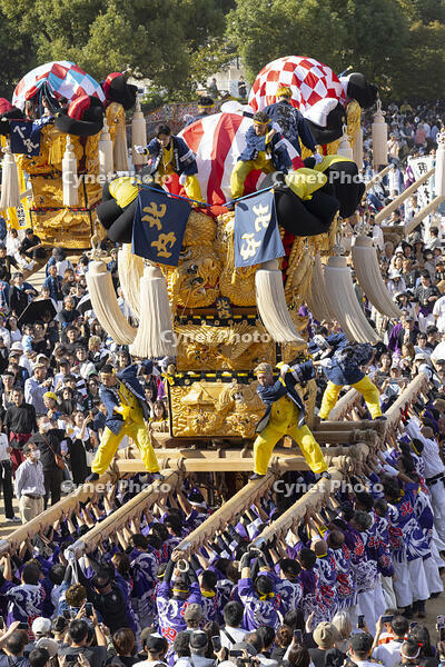 新居浜太鼓祭り　上部地区山根グラウンド統一寄せ [OKE110021769]