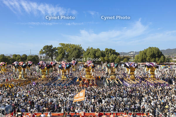 新居浜太鼓祭り　上部地区山根グラウンド統一寄せ [OKE110021770]