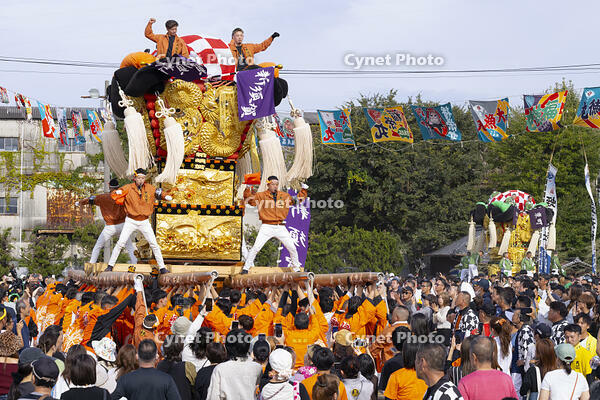 新居浜太鼓祭り　大江浜かきくらべ [OKE110021789]