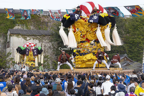 新居浜太鼓祭り　大江浜かきくらべ [OKE110021792]