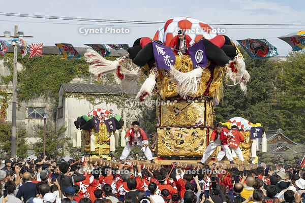 新居浜太鼓祭り　大江浜かきくらべ [OKE110021797]