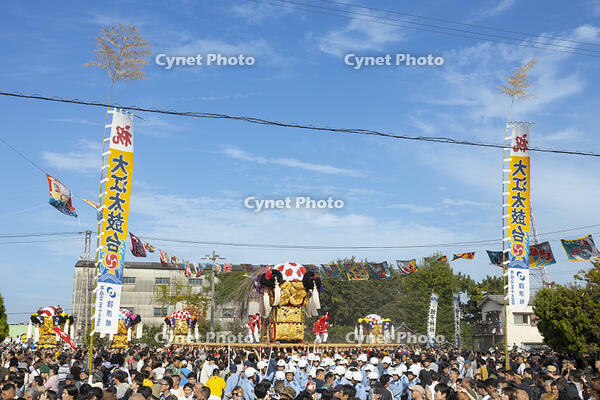 新居浜太鼓祭り　大江浜かきくらべ [OKE110021798]