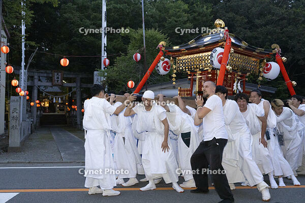 平野天満宮　天王祭　神輿渡御 [OKE110022773]