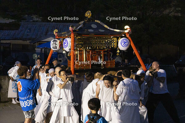 平野天満宮　天王祭　神輿渡御 [OKE110022775]