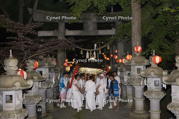 平野天満宮　天王祭　神輿渡御　還御 [OKE110022781]