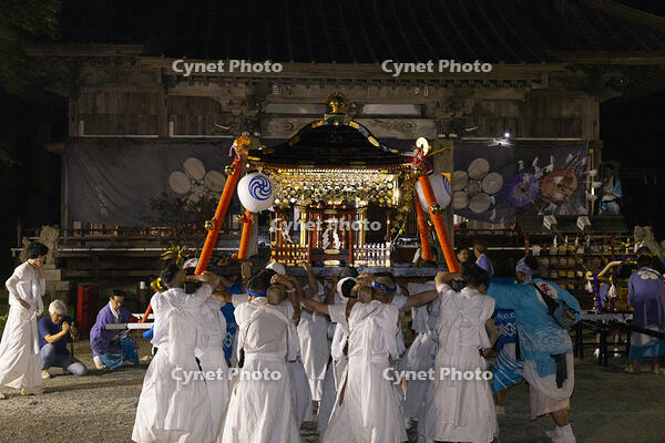 平野天満宮　天王祭　神輿渡御　還御 [OKE110022782]