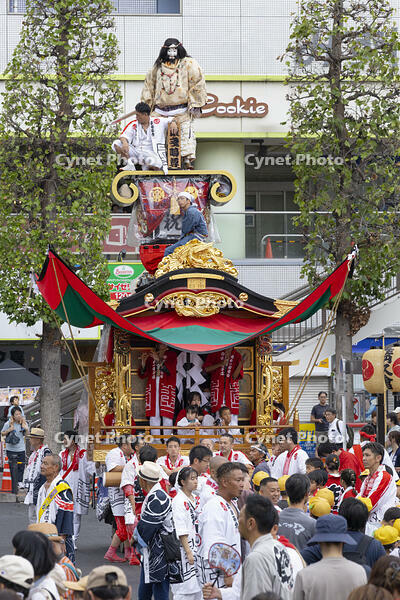 久喜提燈祭り「天王様」　人形山車（本壱） [OKE110022830]