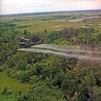 A UH-1D helicopter from the 336th Aviation Company sprays a defoliation agent on a dense jungle area in the Mekong Delta, 26 July 1969. [TPG110085064]