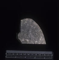 Picture No. 10710903 [TPG110085070]