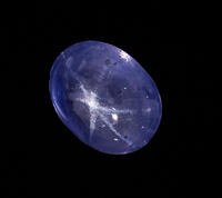 Picture No. 10711141 [TPG110085075]