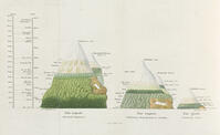 Picture No. 10987137 [TPG110085161]