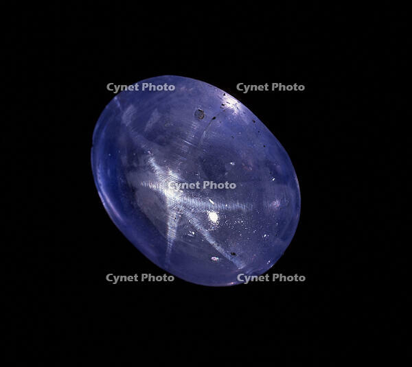 Picture No. 10711141 [TPG110085075]