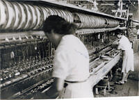 １９５０年　群馬県の製糸工場 [ASA110022646]