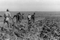 満蒙開拓青年隊の訓練 [ASA110023064]