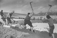 （写真が語る戦争　歴史と向き合う）開拓移… [ASA110023065]