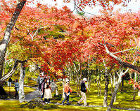 秋深し、織りなす錦　箱根美術館　／神奈川県 [ASA110023286]