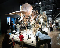 恐竜進化大行進の展示を楽しむ家族連れ [ASA110023490]