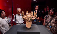 来場者　特別展「縄文――１万年の美の鼓動」 [ASA110023702]
