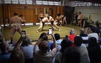 相撲部屋見学ツアー [ASA110023986]