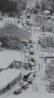 積雪で立ち往生した車の列／福井・敦賀国道… [ASA110024089]