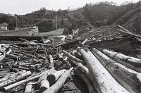１９５９年　三重県の伊勢湾台風でめちゃめ… [ASA110024099]