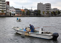 宍道湖に注ぐ大橋川でのシジミ漁（ぶらり舌… [ASA110024272]