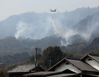 今治山火事 [ASA110024367]