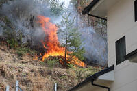 今治山火事　住宅に迫る火 [ASA110024369]