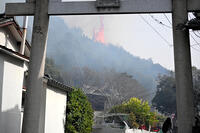 岡山山林火災 [ASA110024372]