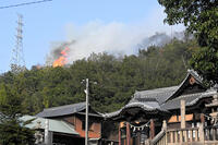 岡山山林火災 [ASA110024379]