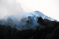 白煙を上げて燃える山林 [ASA110024386]