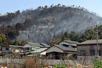 今治山火事　郷桜井地区 [ASA110024389]