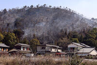 今治山火事　郷桜井地区 [ASA110024390]