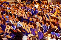 Ｗ杯、日本代表に声援を送るサポーター／札幌 [ASA110024538]