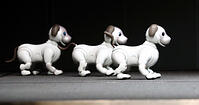 家庭用ロボット「ａｉｂｏ」　ソニー [ASA110024582]