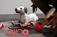 ソニー）「ａｉｂｏ」　発表会 [ASA110024584]