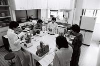 １９７８年　兵庫　生活科学研究所で新しい… [ASA110024793]