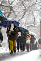 入試会場に向かう受験生ら／首都圏で大雪 [ASA110024797]