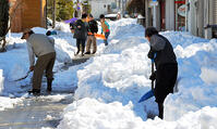 生活道路を協力して雪かきする住民　大雪被害 [ASA110024803]