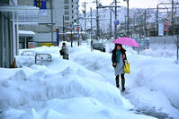 やまぬ雪、解けぬ警戒　大野・九頭竜で２７… [ASA110024814]