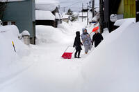 青森大雪 [ASA110024837]