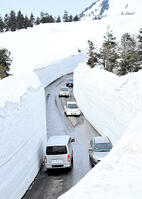 八甲田ゴールドラインに春、雪の回廊が観光… [ASA110024844]