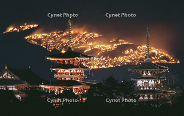 大写真１９若草山の山焼きヨコ★★ [ASA110022690]