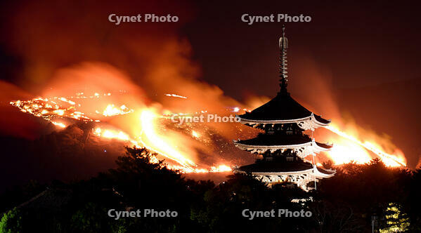 若草山の山焼き [ASA110022691]