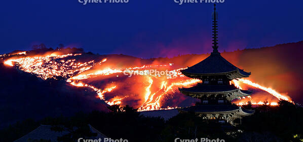 燃え上がる若草山。手前は興福寺五重塔（１… [ASA110022693]