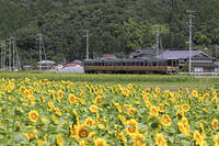 姫新線　三日月～播磨徳久 [MAK110000005]
