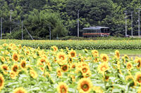 姫新線　三日月～播磨徳久 [MAK110000006]