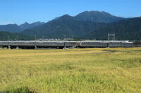 八海山.とき324号(E2系)　上越新幹線　越後湯沢～浦佐 [MAK110000024]